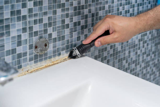 Best Mold Removal and Inspection  in Merian, ID
