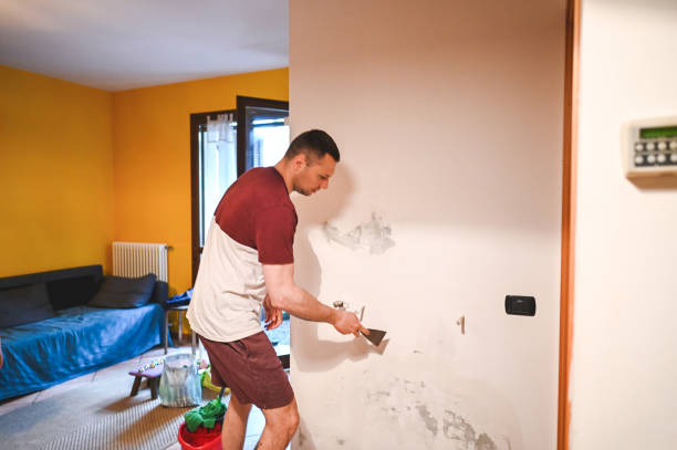 Best Mold Damage Repair  in Merian, ID